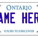 Personalized Custom License Plate for Kids Car