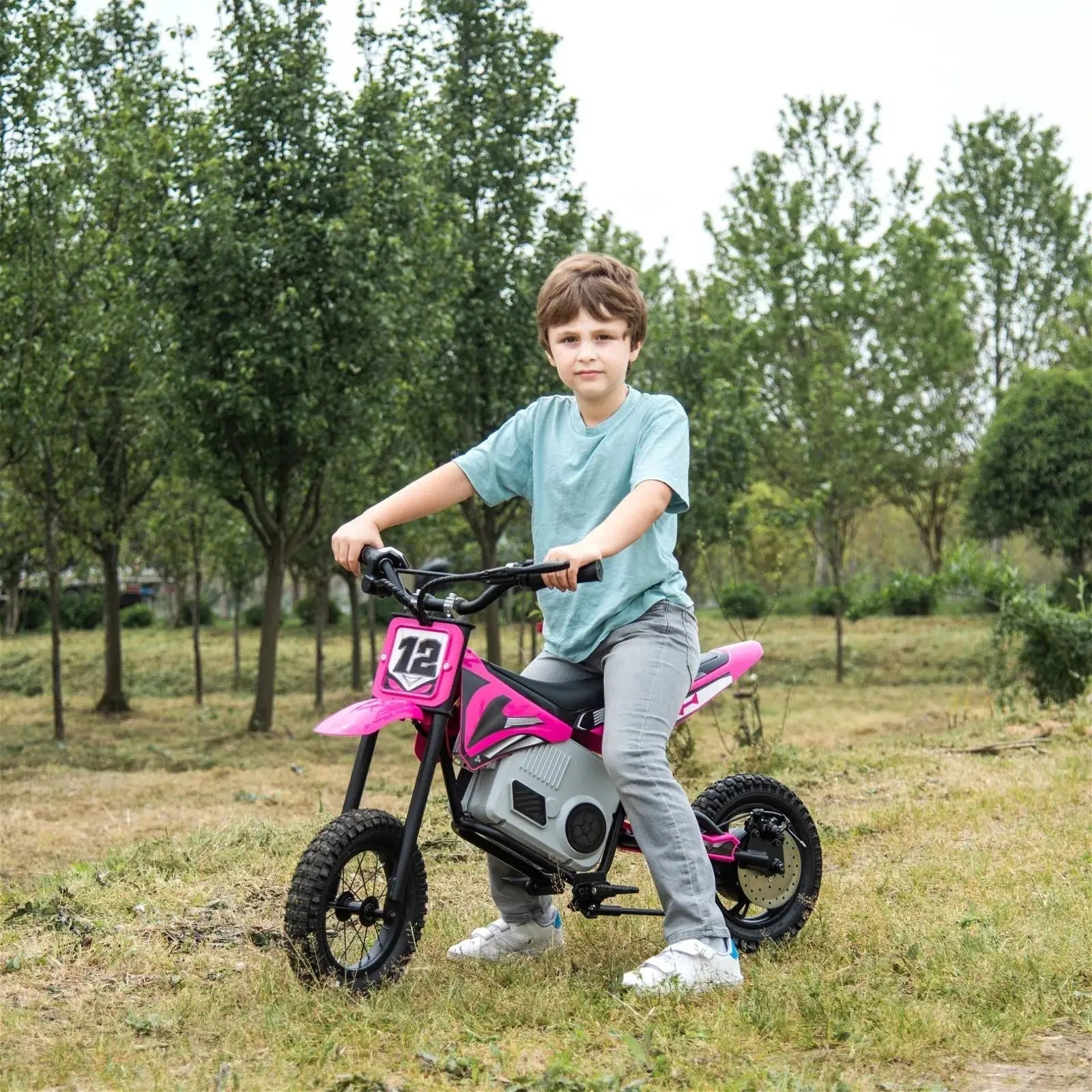 36V Electric Dirt Bike with Brushless Motor