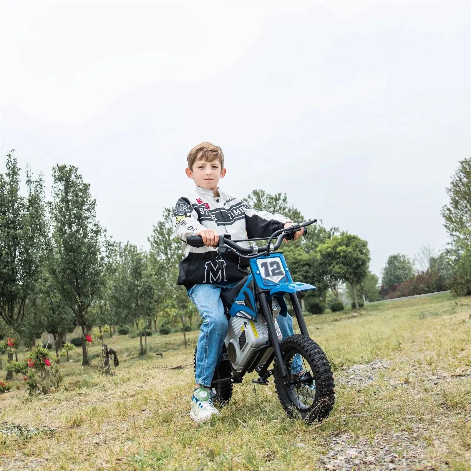 36V Electric Dirt Bike with Brushless Motor