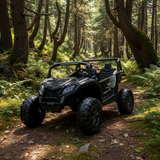 2026 24V Dune Buggy Buccaneer 4X4 2 Seater Kids Ride On Car with Remote Control