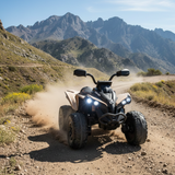 24V Can-Am Renegade Kids Ride On ATV