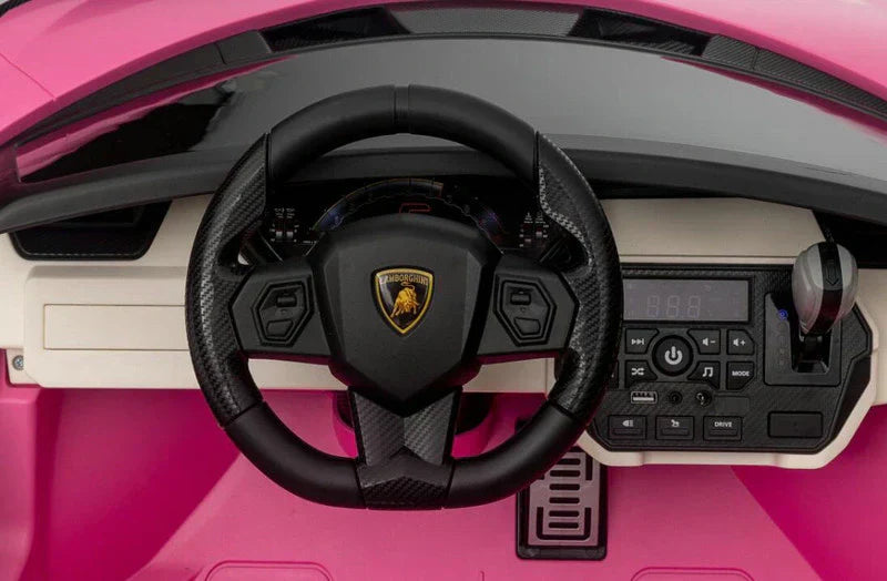 Pink 24V Official LX Lamborghini Sian 2-Seater Ride On Car with Music, RC
