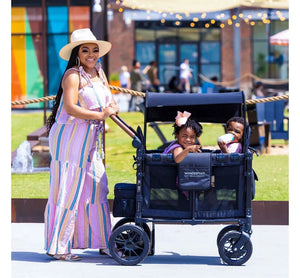 Wonderfold W2 Luxe Double Stroller Wagon FREE SHIPPING!